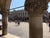 Michael Anastassiades Michele Alassio, Venice 1954, Palazzo Ducale, 2000, Photography For Sale - Image 4 of 13