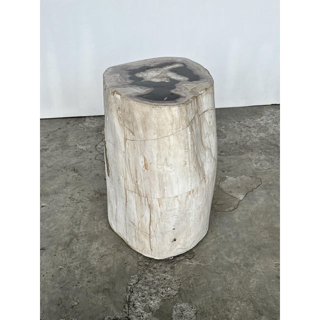 Stone Side Table in Petrified Wood For Sale - Image 7 of 18