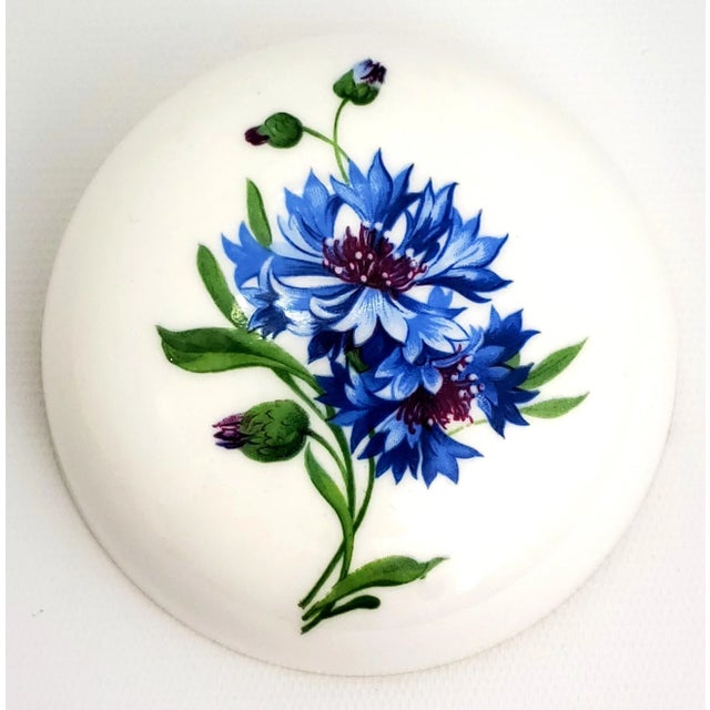 Blue Ginger Jar Royal Windsor For Sale - Image 8 of 11