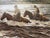 This is a Robert Summers print from 1984 of two cowboys crossing a river on horseback entitled “High Water Crossing”. This...