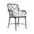 Brown Jordan Calcutta Arm Chair in Black Jade with Sand Stripe Cushions For Sale