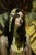 The artwork features a serene figure seated against a backdrop of sweeping golden fans, exuding an ethereal quality. The...