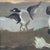 Mid 20th Century Naive Common Goldeneye Oil on Canvas Painting For Sale - Image 5 of 12