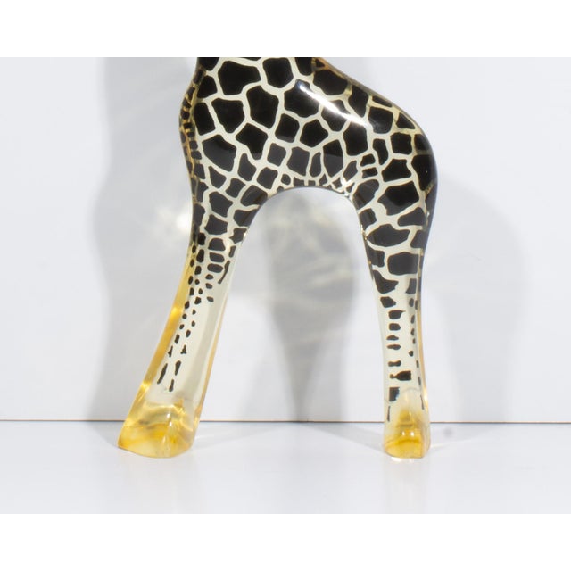 Mid 20th Century Lucite Giraffe by Abraham Palatnik For Sale - Image 5 of 7