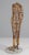 Wood Anitque Mannequin in Bamboo, Cane, Wood and Steel, 1890s For Sale - Image 7 of 10