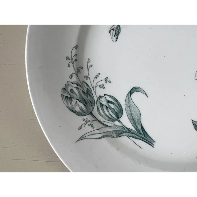 Antique Italian Botanical Plates | s.c.r. Linneo Green Transferware Set (20cm) For Sale - Image 17 of 18