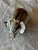 Metal Mid 20th Century Napier Silver Elephant Coin Bank For Sale - Image 7 of 11