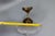 Art Deco French Frosted White Glass and Brass Ceiling Light, 1930s For Sale - Image 17 of 18