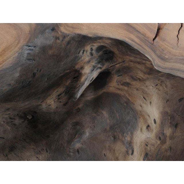 Suar Wooden Console Table by Xyleia Petrified Wood For Sale - Image 4 of 6