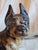 Black Antique Hubley Cast Iron Boston Terrier Dog Doorstop Original Paint C. 1920s 9" For Sale - Image 8 of 17