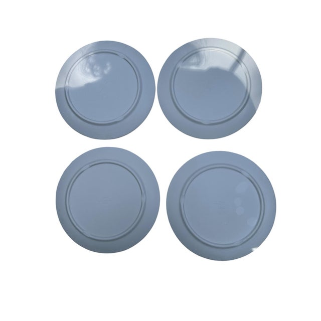 A set of 4 Vintage Butterfly Bug Plates is a delightful and whimsical addition to any picnic or outdoor gathering. Here...