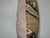 Early 20th Century Camel Bakshaish Rug Pillow For Sale - Image 5 of 5