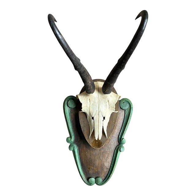 1980s Chamois Goat Trophy Black Forest Horns For Sale