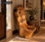 Sculptural Hand-Carved Live-Edge Oak Chair For Sale - Image 4 of 4