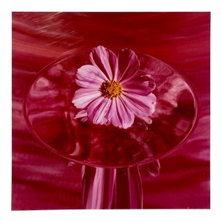 Peter C. Jones 1, Pink Cosmo, Large Format Photo 24X20 Color Photograph Beach House, 2004 For Sale