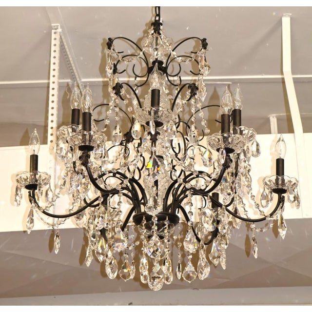 Schonbek 17124-76 Century 12 Light Black Frame Crystal Chandelier For Sale In New York - Image 6 of 10