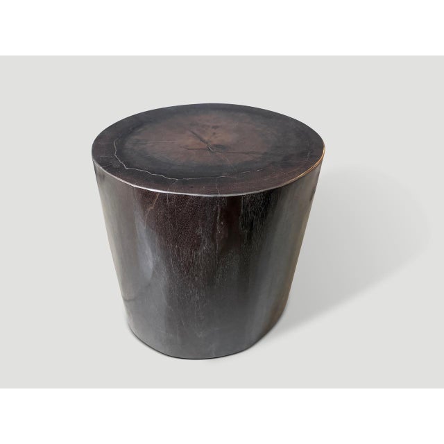 Andrianna Shamaris Minimalist Super Smooth Petrified Wood Side Table For Sale - Image 4 of 4