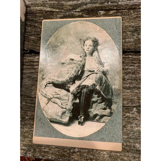 Antique Victorian Cabinet Card, Paired With Contemporary Fashion Photo of Snake For Sale - Image 4 of 8