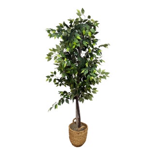 Decorative Faux Ficus Tree + Wicker Planter For Sale