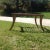 Mid-Century Modern Mid Century Modern Klismos Style Bench For Sale - Image 3 of 7