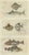 Paper Aeg, Sword Fish and John Dory and Haddock, 1832, Paper, Set of 3 For Sale - Image 7 of 7