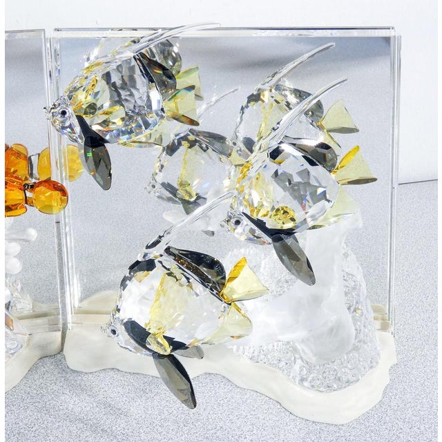 Wonders of the Sea Figurine by Swarovski For Sale - Image 8 of 18