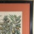 Vintage Framed Basilius Besler Botanical Lithograph Prints Hortus Eystettensis Pair For Sale - Image 15 of 18