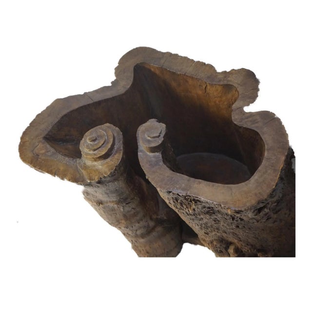 20th Century Chinese Enhanced Burl Tree Trunk Pot For Sale In Chicago - Image 6 of 12