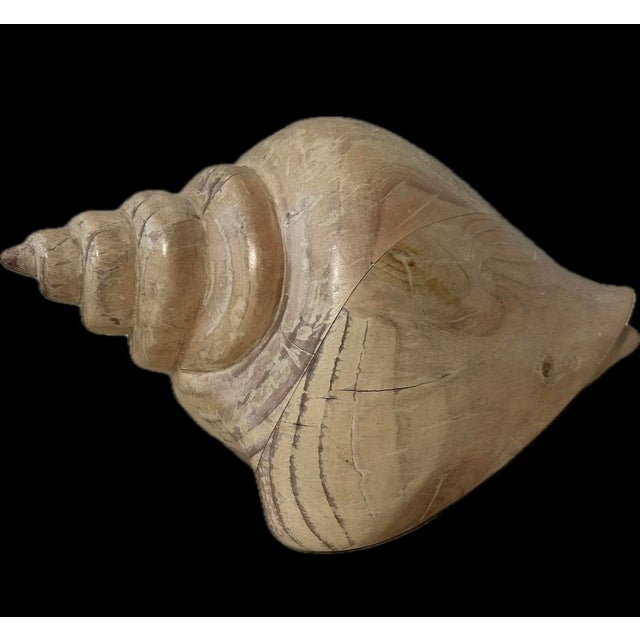 Wood Late 20th Century Sarreid Large Carved Wood Conch Shell, Made in Spain For Sale - Image 7 of 11