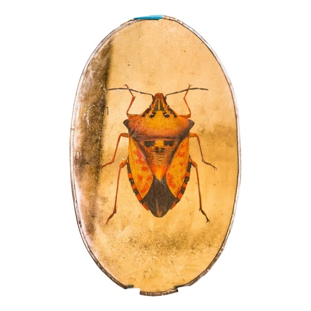 Y Beetle Mirror from Unique Mirrors For Sale