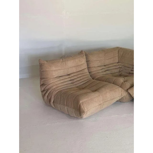 Brown Togo Sofas from Ligne Roset, Set of 3 For Sale - Image 6 of 12