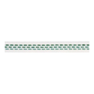 Schumacher Portola Tape Narrow Indoor/Outdoor In Green For Sale