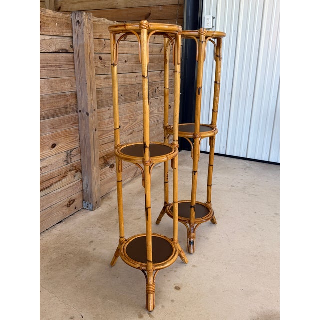 Brown Pair of Victorian Rattan Three-Tier Plant Stands, Late 19th Century For Sale - Image 8 of 12