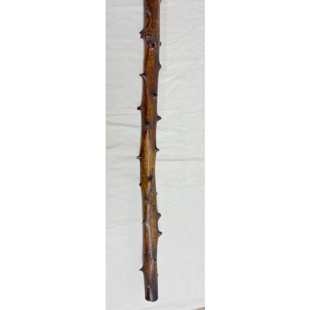 Large Antique 1800's Chinese Foo Dog Carved Wood Folk Art Walking Stick Cane For Sale - Image 15 of 18