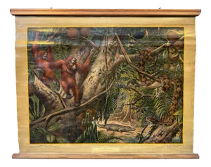 Vintage Linen School Map of Borneo