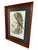 Victorian 19th-Century Framed John Gould Red Kite | Original Antique Bird Print For Sale - Image 3 of 12
