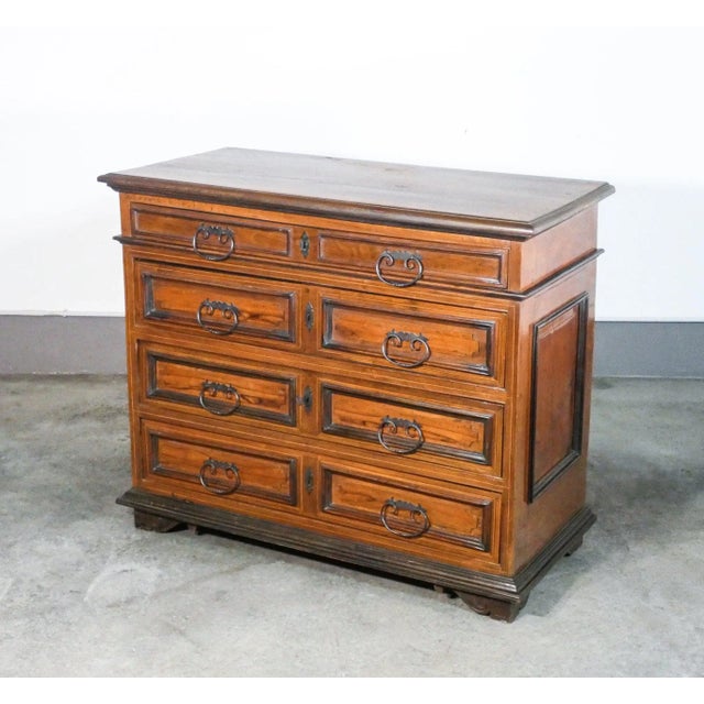 Louis XIV Walnut and Briarwood Discò Canterano, 1700s For Sale - Image 3 of 12