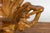 Vintage Rustic Chinese Camphor Wood Tree Root Armchair with Light Varnish For Sale - Image 9 of 12