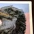 1990s After Andy Warhol "Bald Eagle" Lithograph For Sale - Image 6 of 11