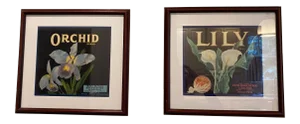 Framed Vintage Fruit Crate Labels - a Pair