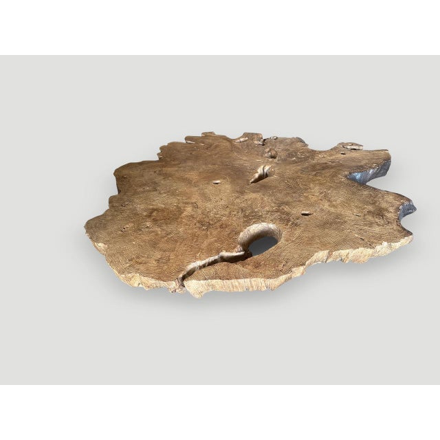 A century old impressive four inch thick teak slab, expertly crafted into a beautiful coffee table. This magnificent piece...