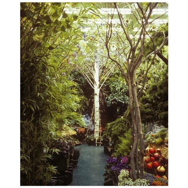 Paula Anta, Only 01 Series Artificial Paradise, Photography, 2008 For Sale - Image 6 of 6