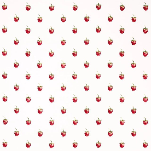 Sample - Schumacher x Johnson Hartig Freshie Fresh Fabric in Ivory For Sale