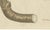 19th Century Bertuch, Galbanum and Hungarian Gentian, 1805, Print For Sale - Image 5 of 12