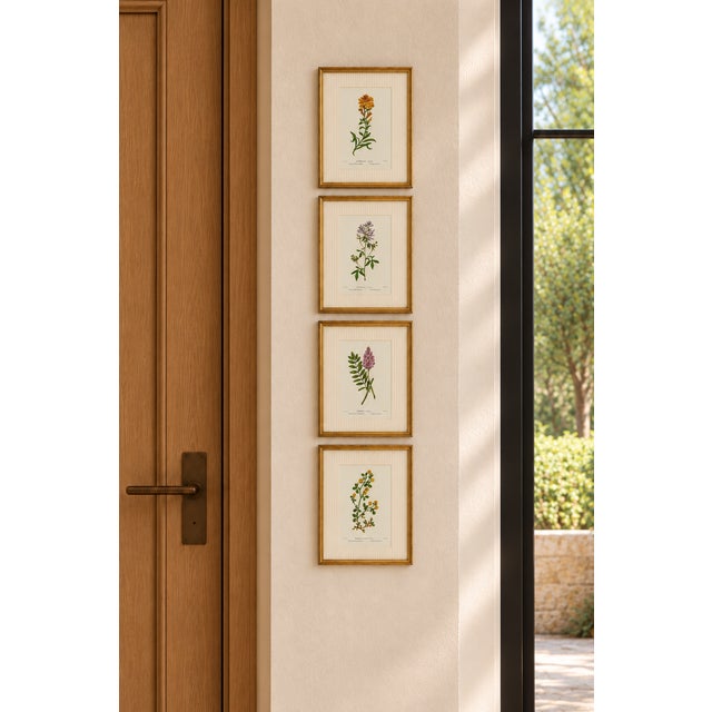 Circa 1910 Alpine Flower, Four Botanical Miniatures Framed - Set of 4 For Sale In Milwaukee - Image 6 of 6