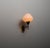 A elegantly designed Italian wall sconce from the 1950s, crafted with a combination of materials that highlight the modern...