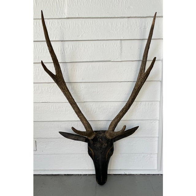 Antique 19th Century Folk Art Carved Wood Black Forest Baroque Deer Head & Antlers Wall Trophy For Sale - Image 10 of 12