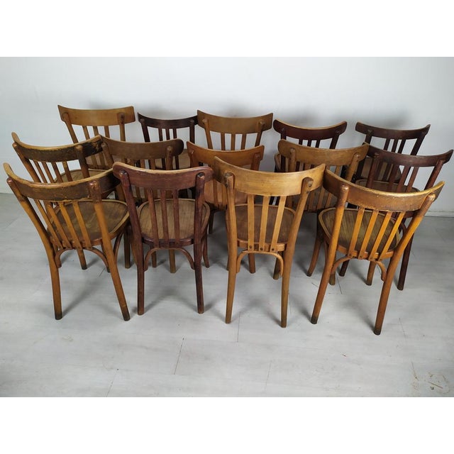 1920s Bistro Chairs, 1920s, Set of 14 For Sale - Image 5 of 18