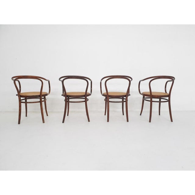 Wood Czechoslovakian Model 209 Chairs, 1970s, Set of 4 For Sale - Image 7 of 11