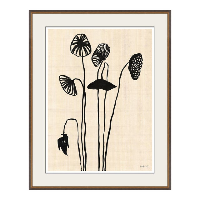 Lotus Pods by Susan Hable For Sale